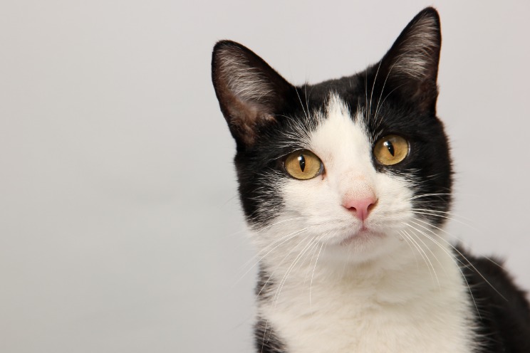 black market cryptocurrency