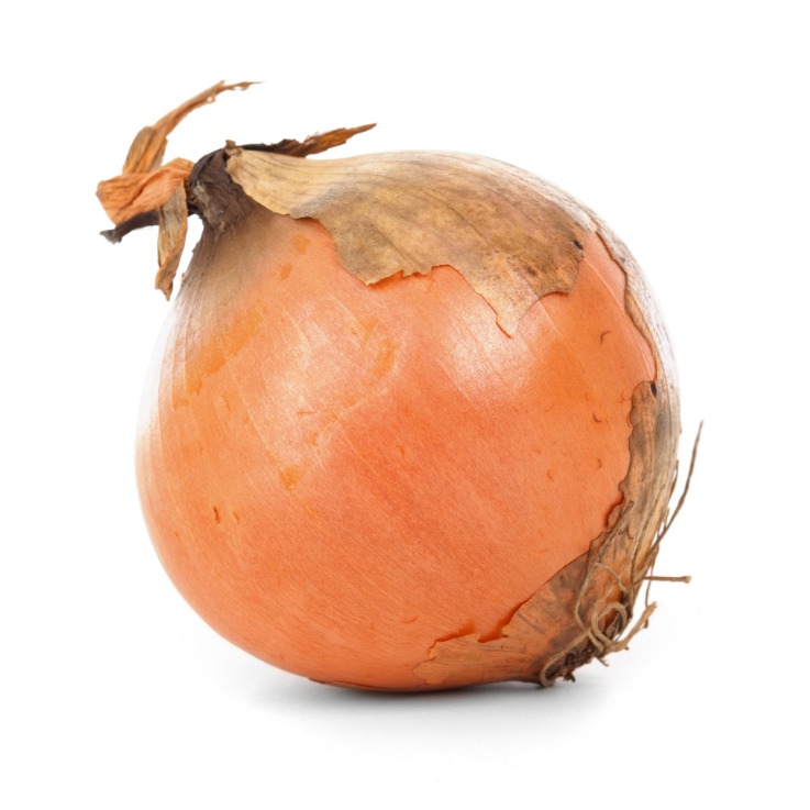 onion links credit card