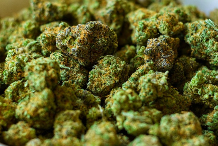weed only darknet market