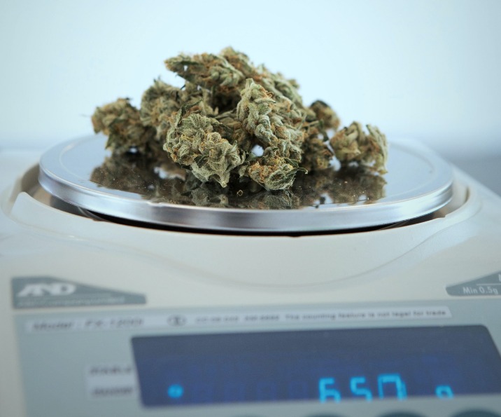 weed only darknet market