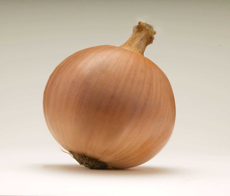 onion directory 2025