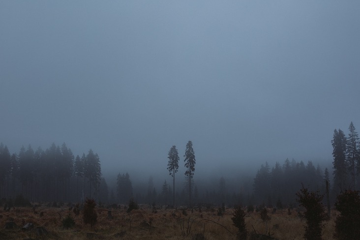 dark web search engine 2023