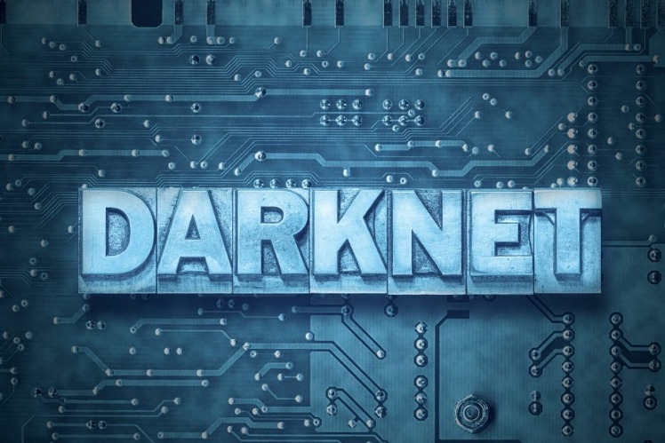what is a darknet drug market like
