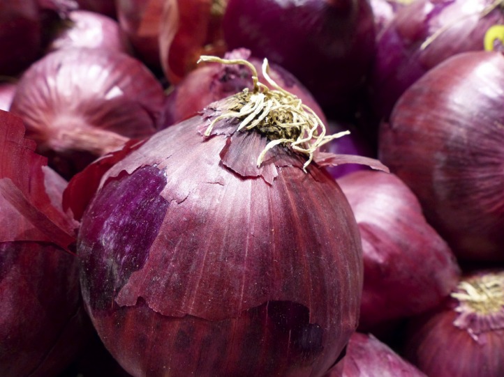 onion dark web