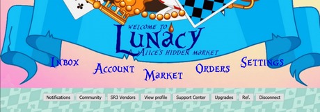 how to use darknet markets