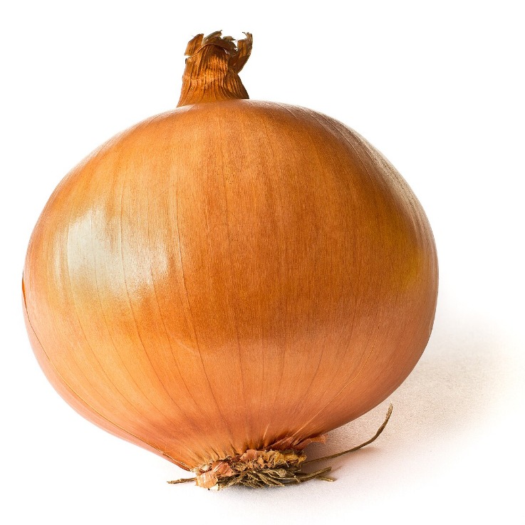 onion directory list