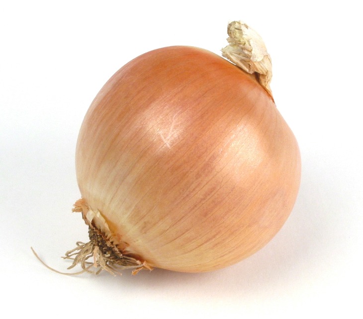 onion links sites