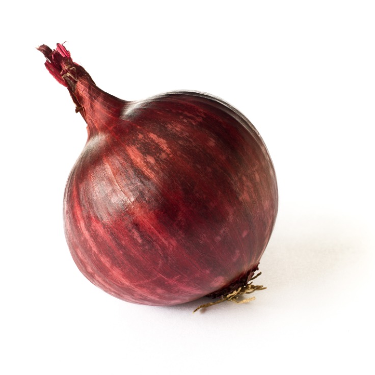 onion links sites