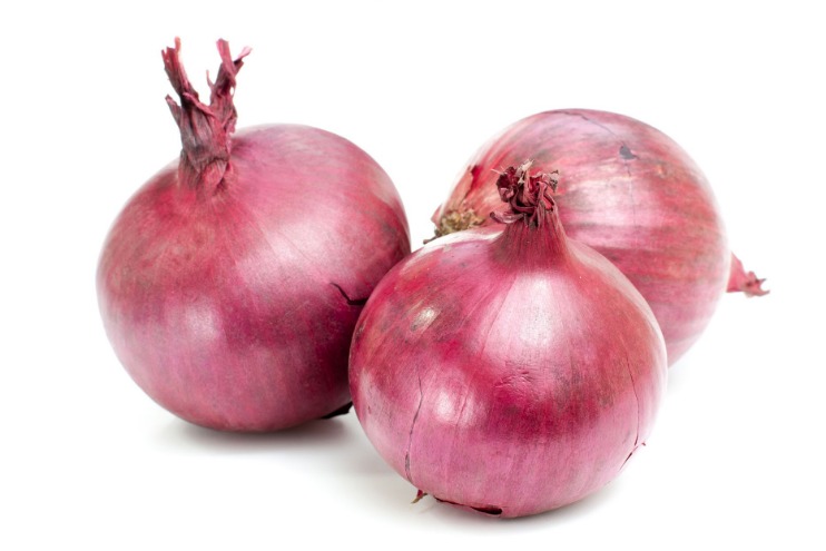 the onion directory