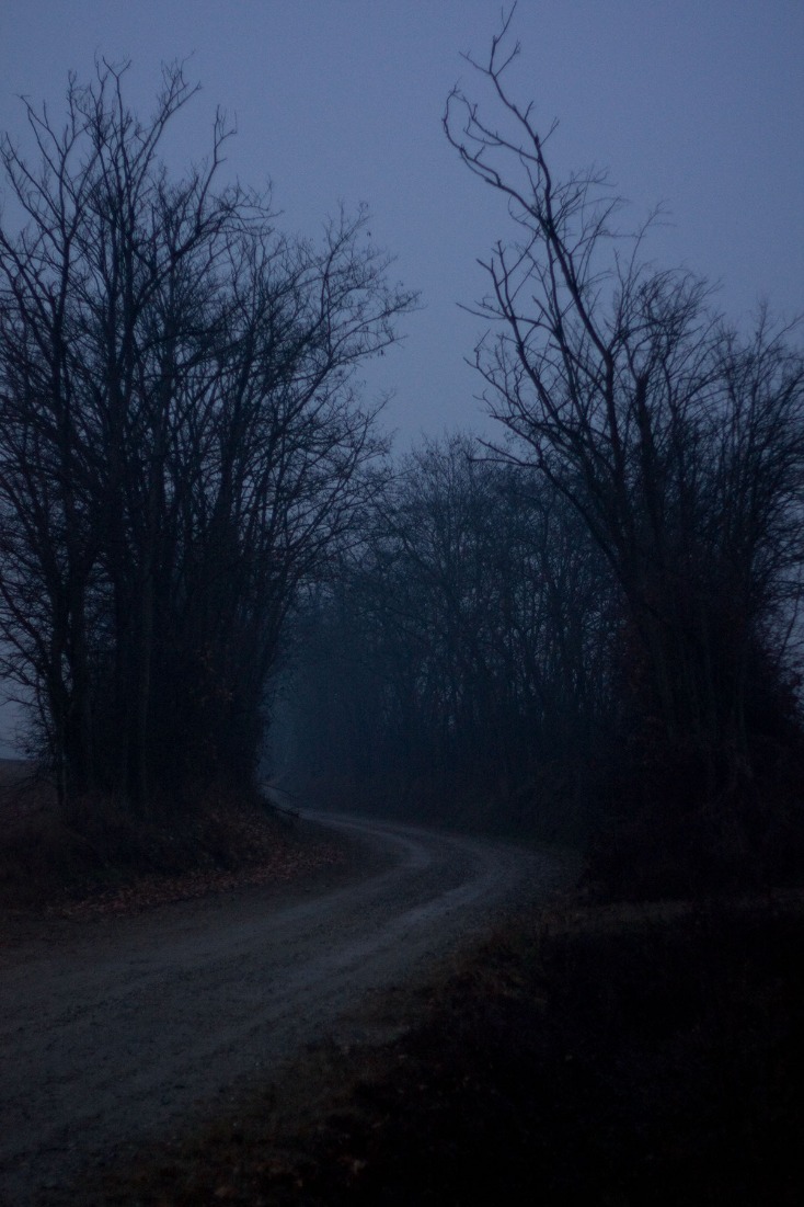 dark markets belgium