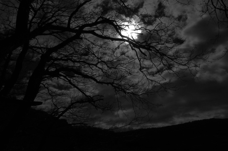 dark websites reddit