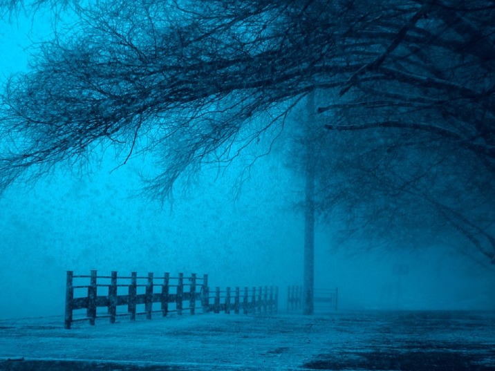 dark net market list reddit