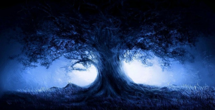 dark web market reviews