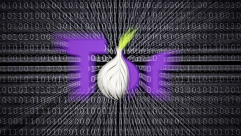 0day onion