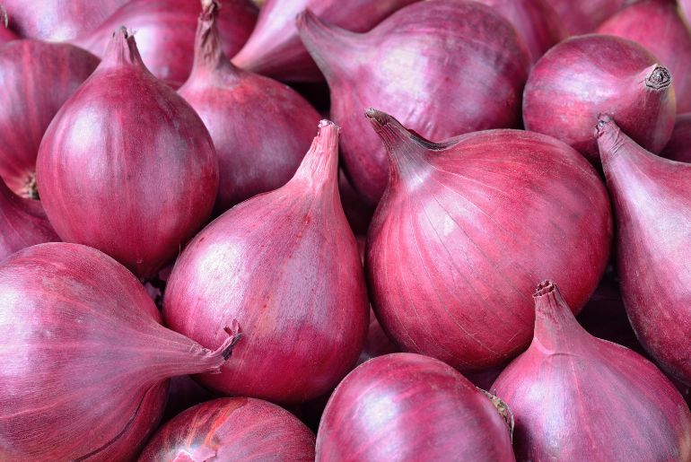 onion live links