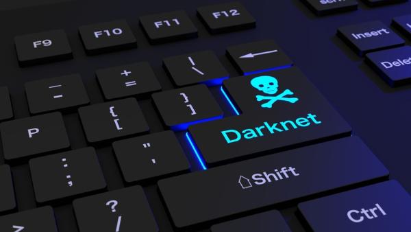 Kingdom Market darknet