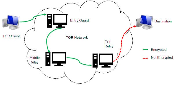 how to acsess the dark web